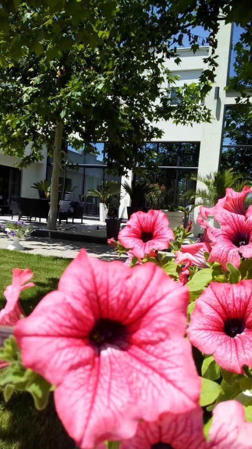 Bed and Breakfast Mesecev Konak Ниш Экстерьер фото