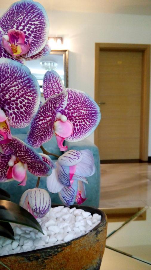 Bed and Breakfast Mesecev Konak Ниш Экстерьер фото