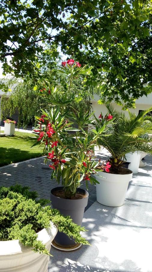 Bed and Breakfast Mesecev Konak Ниш Экстерьер фото